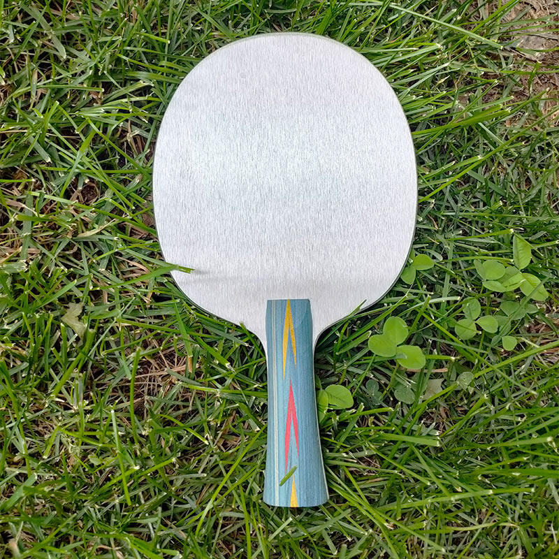Tafeltennisbasisplaat van alum - Badminton Racket Carbon recensie en prijs