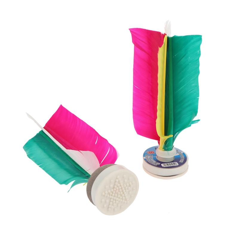 Nieuwe 6 Stuks Game Shuttle Tr - Feather Shuttlecock recensie en prijs