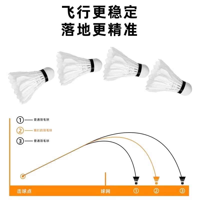 Lion Badminton Shuttlecock Gan - Feather Shuttlecock recensie en prijs
