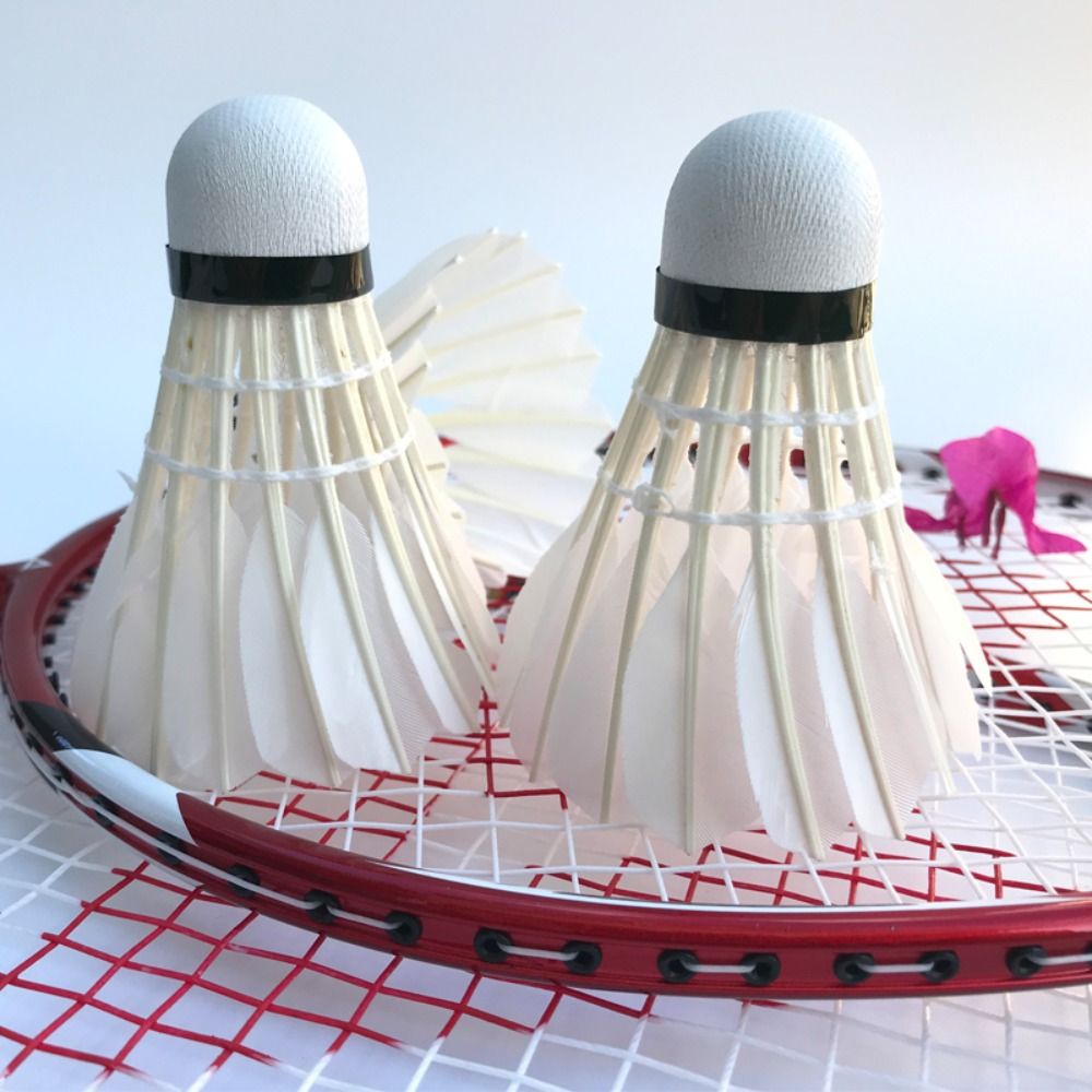 3/6/12 Stuks Nieuwe Witte Badm - Feather Shuttlecock recensie en prijs